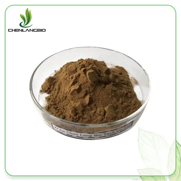 Reishi Mushroom Extract Powder